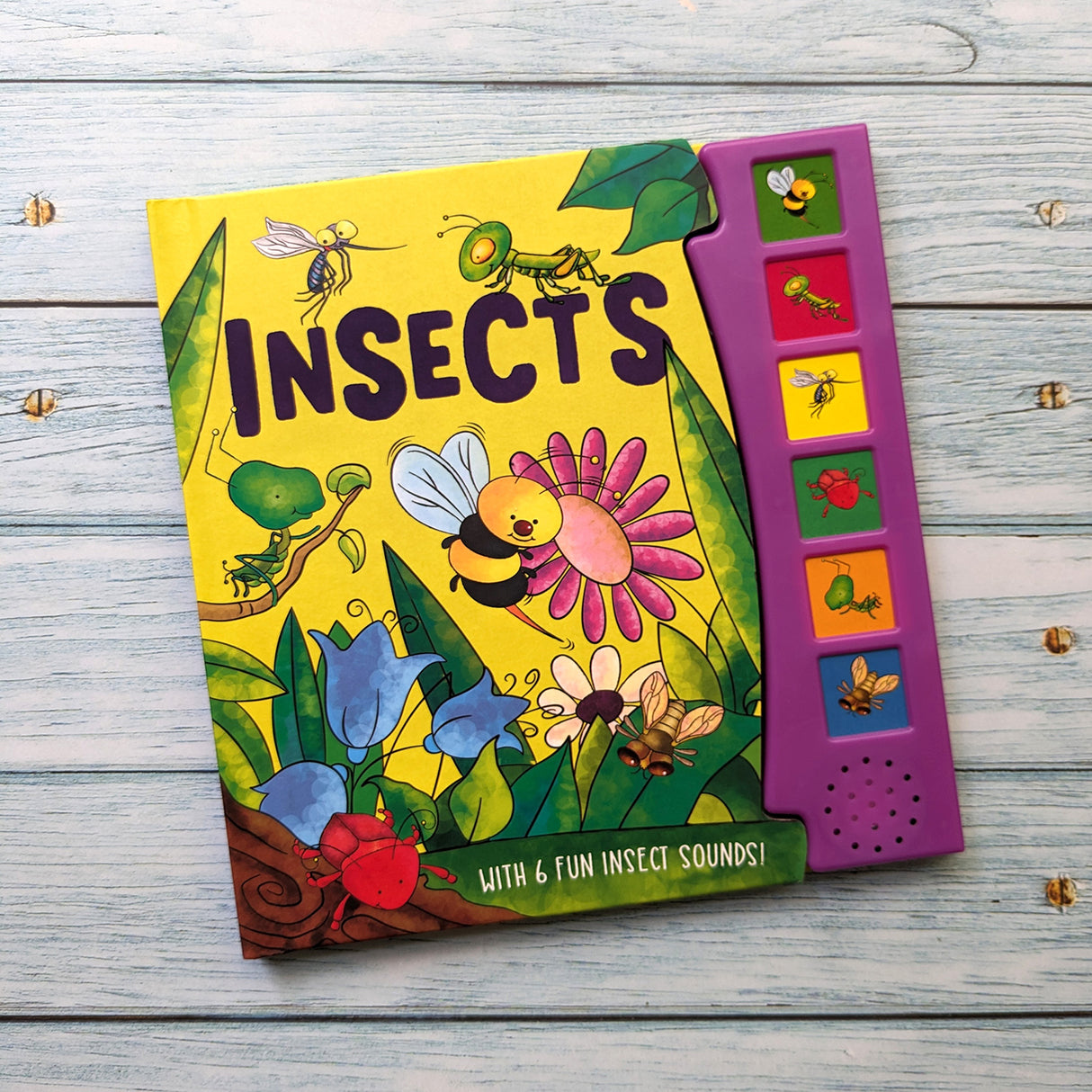 Insects – Children’s 6 Button Sound Book