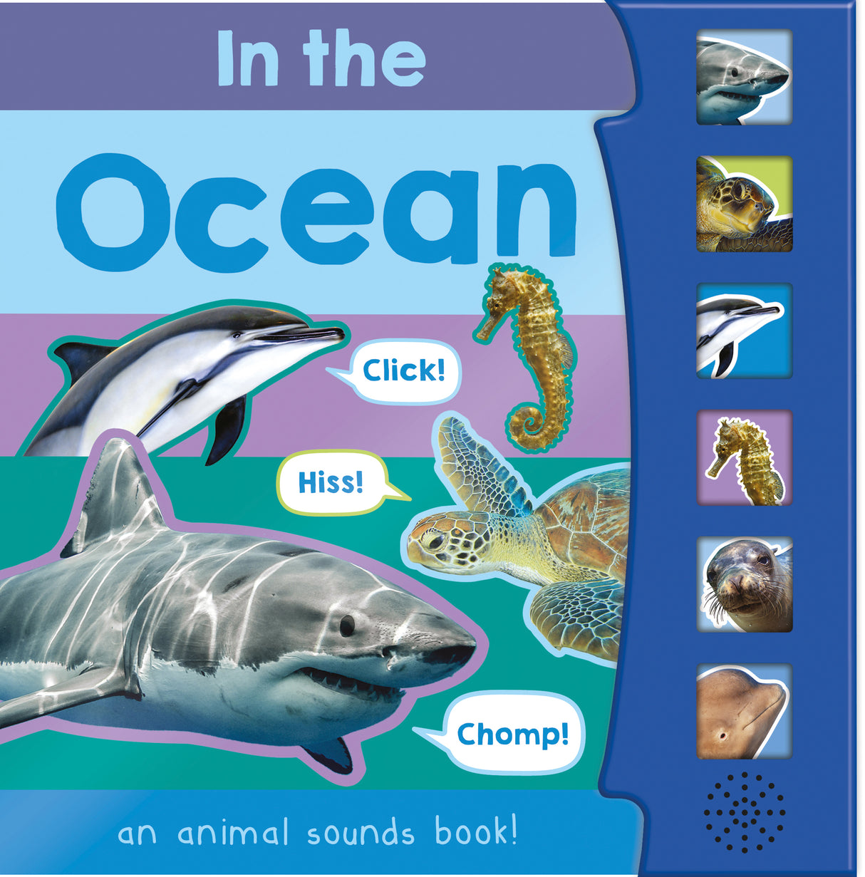 In The Ocean – Children’s 6 Button Sound Book