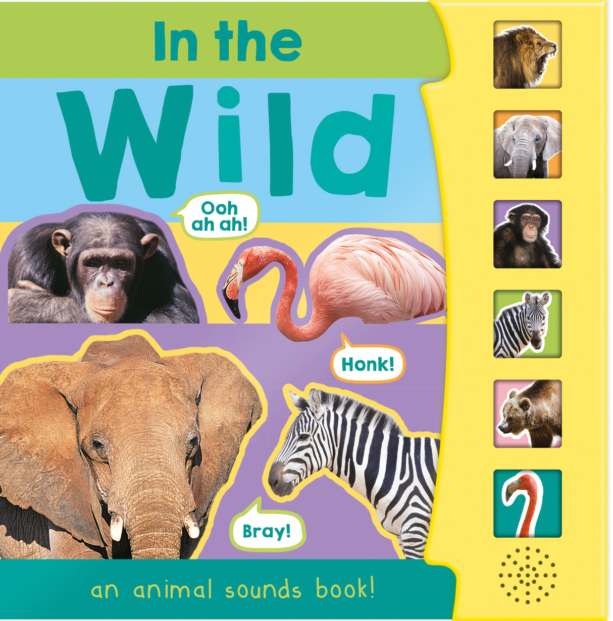 In The Wild – Children’s 6 Button Sound Book