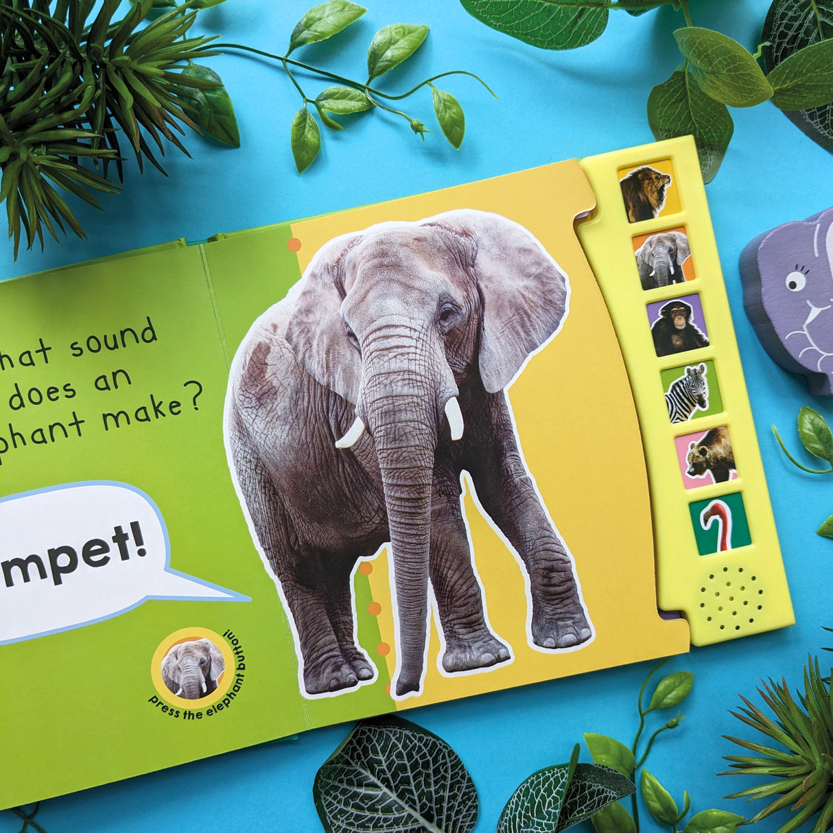 In The Wild – Children’s 6 Button Sound Book