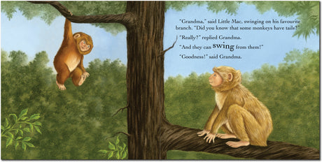 Grandma's Little Monkey - Children’s Picture Book