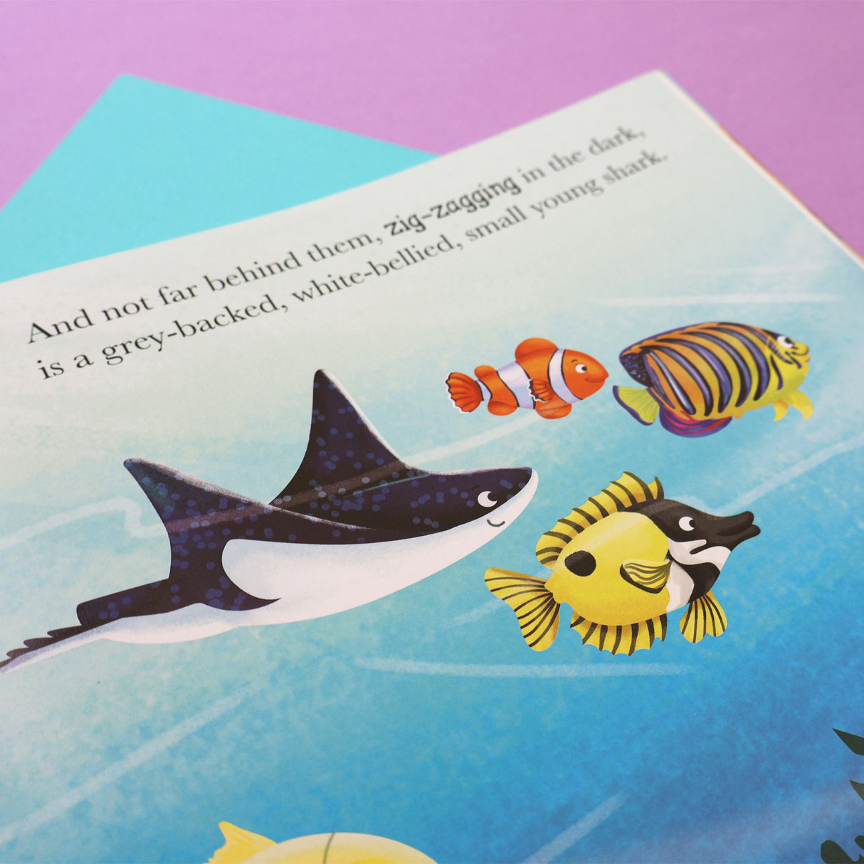 When Shark Learns to Share - Me And My Feelings Children's Paperback Book