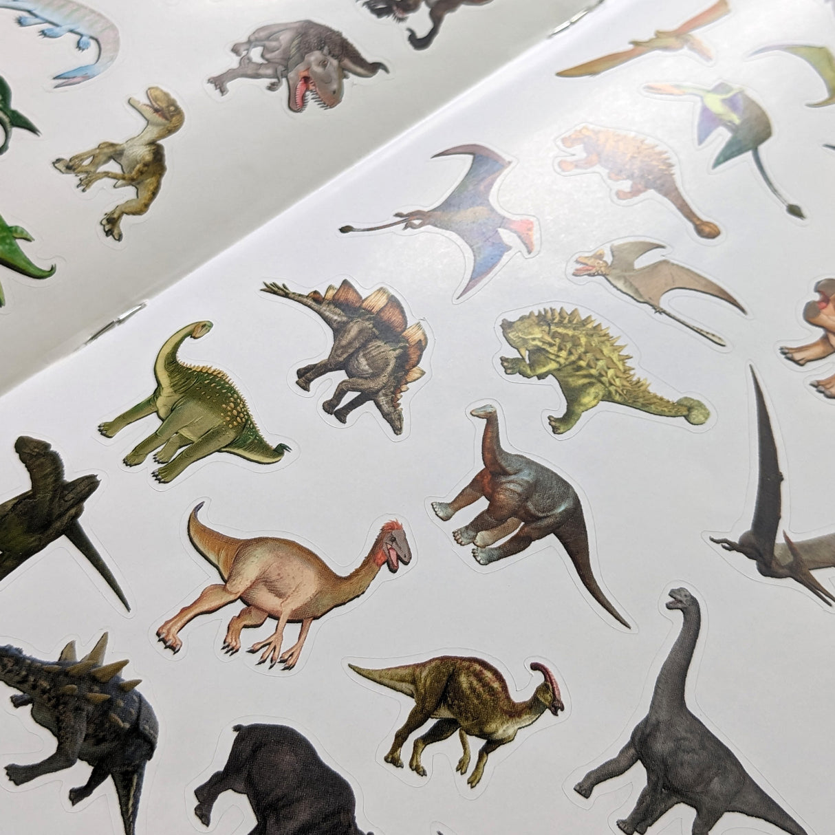 My Book Of 100 Stickers - Dinosaurs