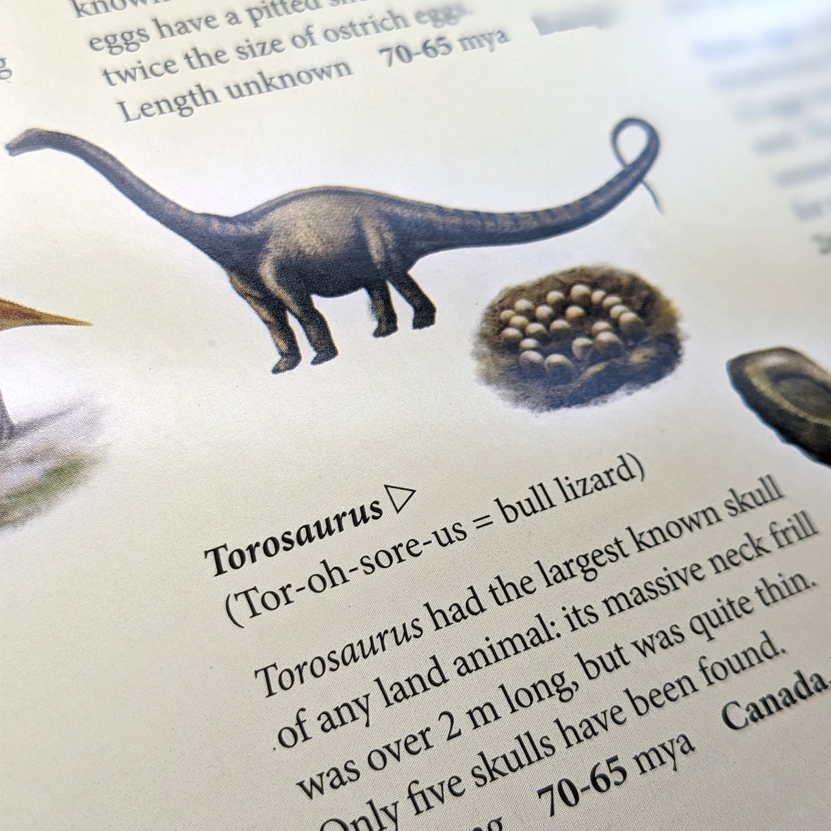 Fold-Out Timechart History Of Dinosaurs - An Incredible Illustrated History