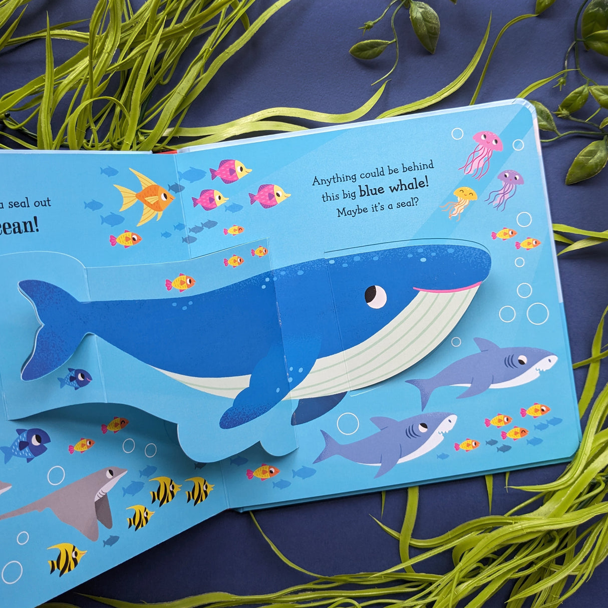 Seal in the Sea – Children’s Pop-Up Book