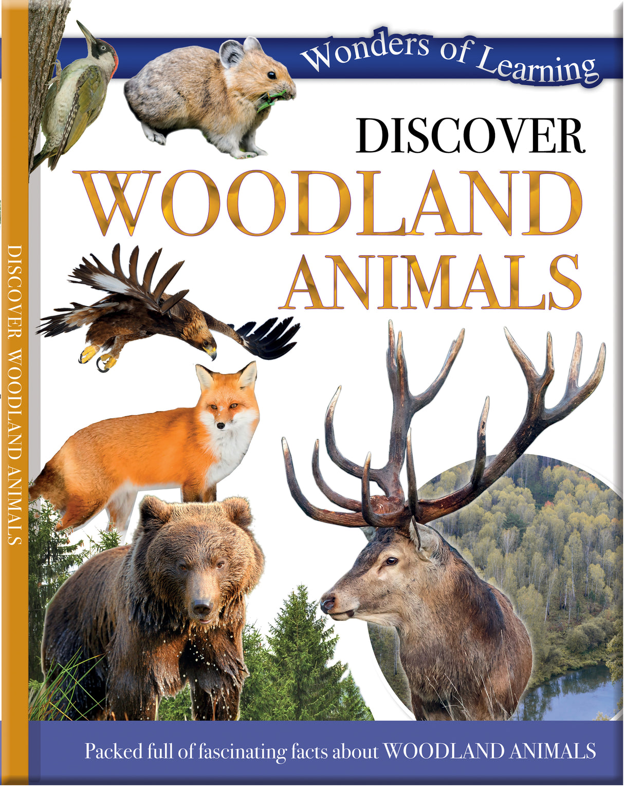 Discover Woodland Animals - Children's Reference Book