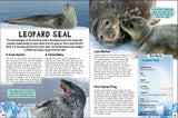 Discover Polar Animals - Children's Reference Book