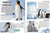 Discover Polar Animals - Children's Reference Book