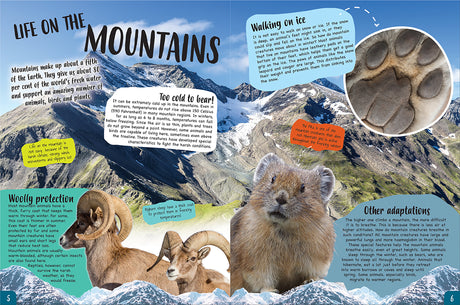 Discover Mountain Animals - Children's Reference Book