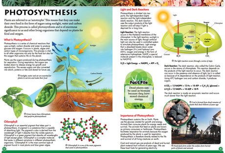 Discover Botany - Children's Reference Book - STEM Learning