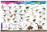 Discover Dinosaurs Educational Box Set