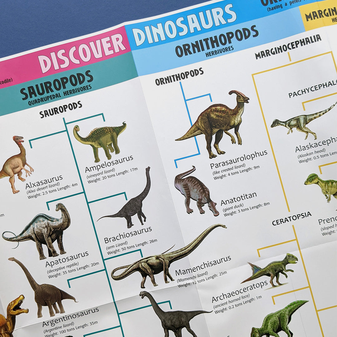 Discover Dinosaurs Educational Box Set