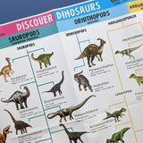 Discover Dinosaurs Educational Box Set