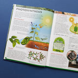 Discover Botany Educational Box Set - Children's STEM Learning