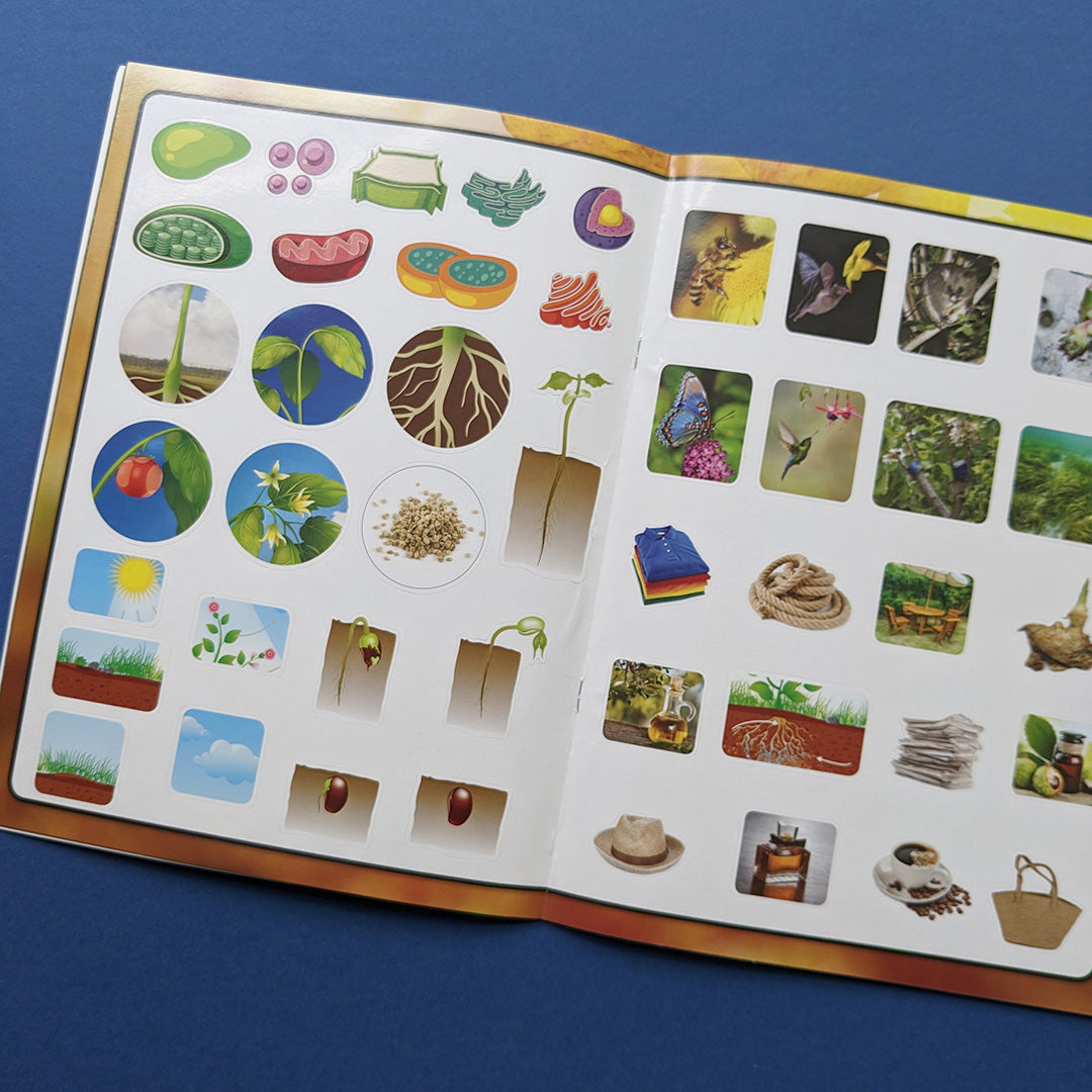 Discover Botany Educational Box Set - Children's STEM Learning