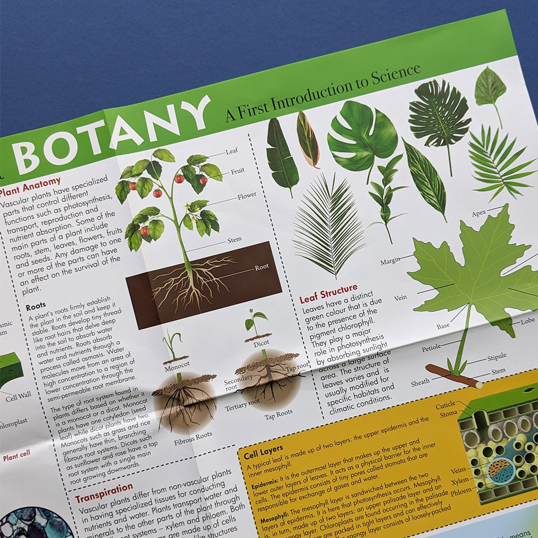 Discover Botany Educational Box Set - Children's STEM Learning