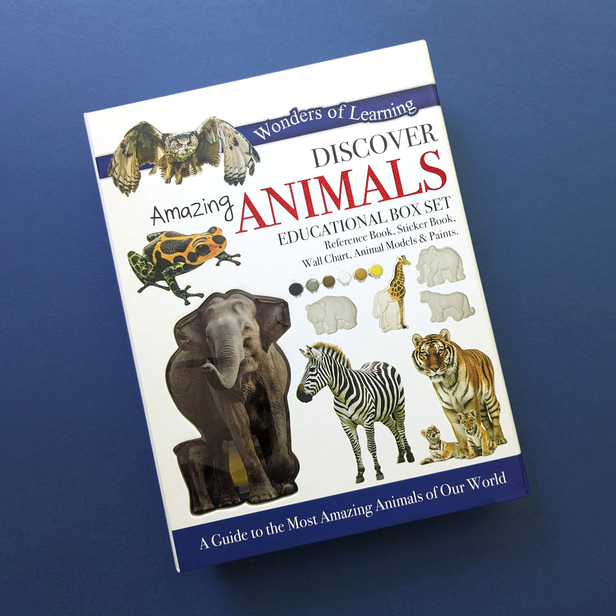 Discover Amazing Animals Educational Box Set