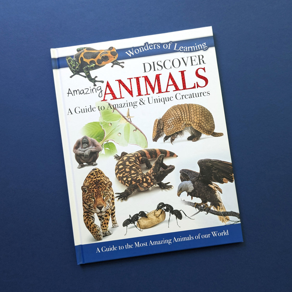 Discover Amazing Animals Educational Box Set