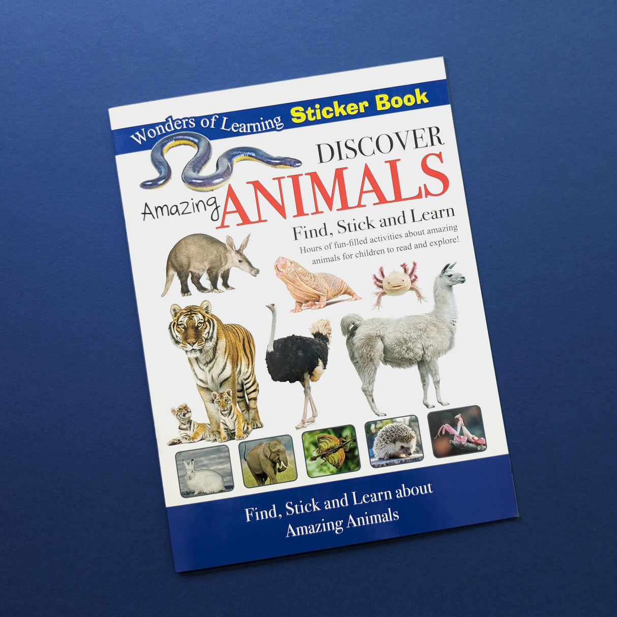 Discover Amazing Animals Educational Box Set