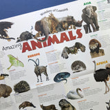 Discover Amazing Animals Educational Box Set