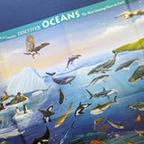 Discover Oceans Educational Box Set