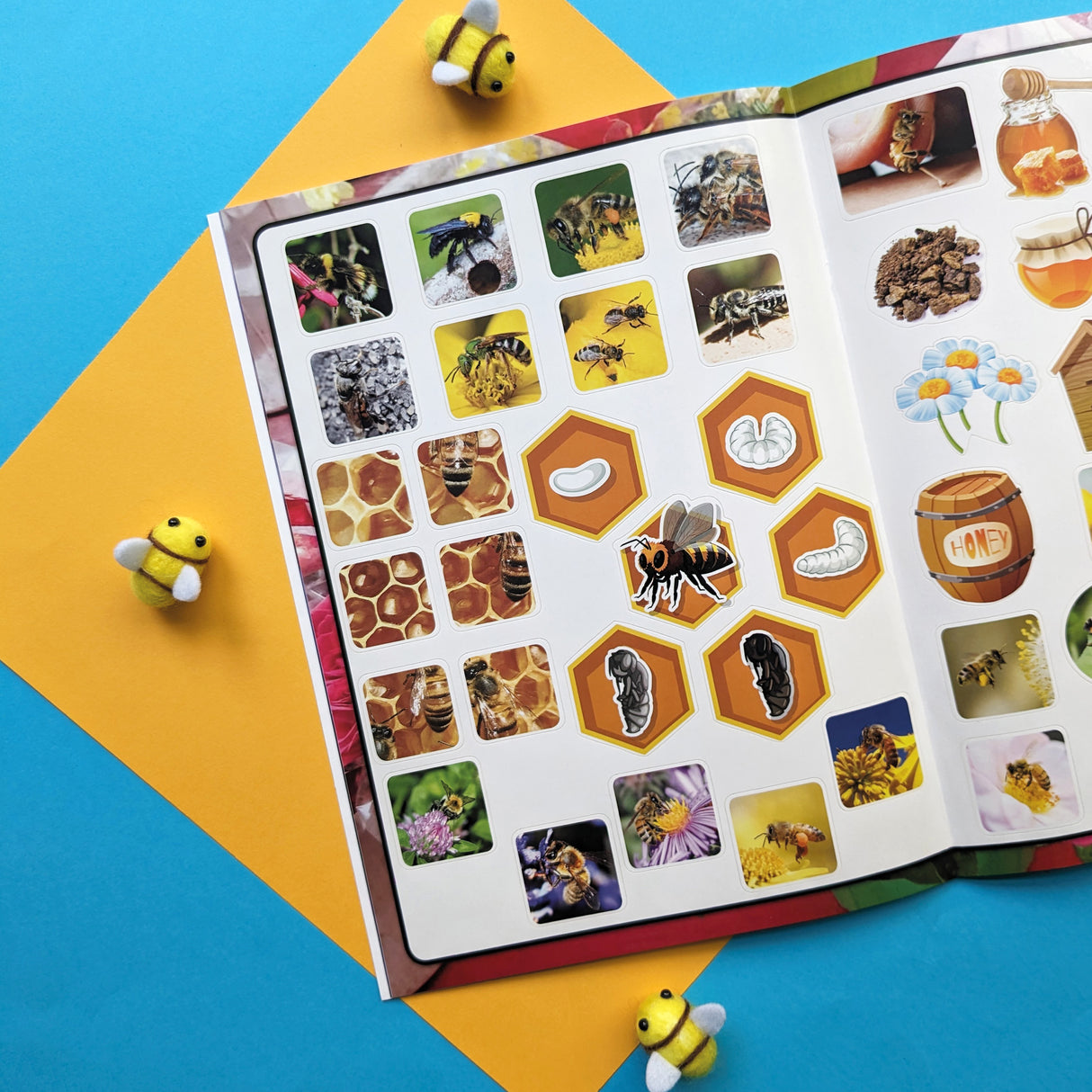 Discover Bees Educational Box Set - Children's STEM Learning