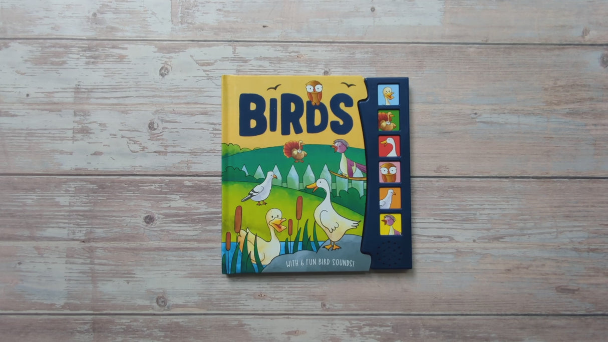 Birds – Children’s 6 Button Sound Book