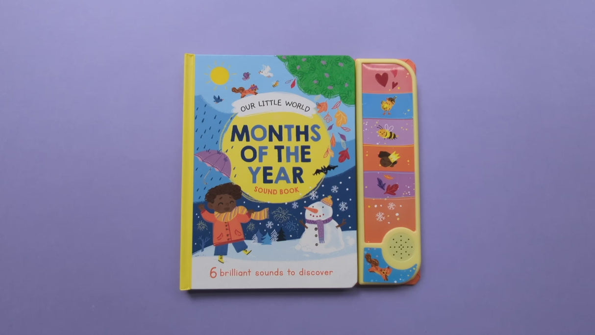 Months of the Year Sound Book