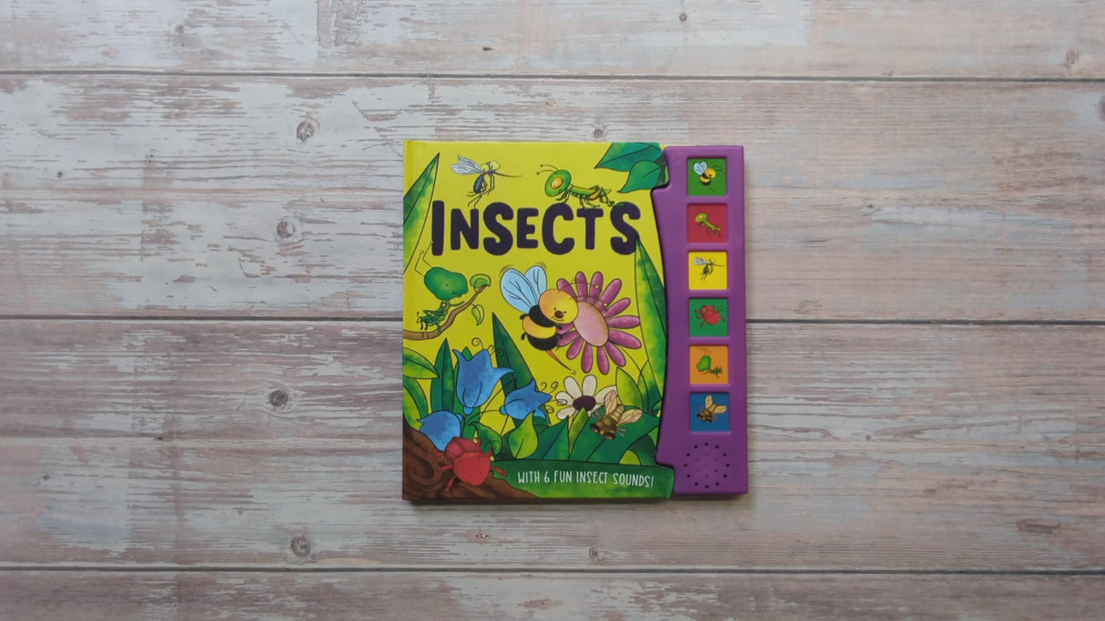 Insects – Children’s 6 Button Sound Book